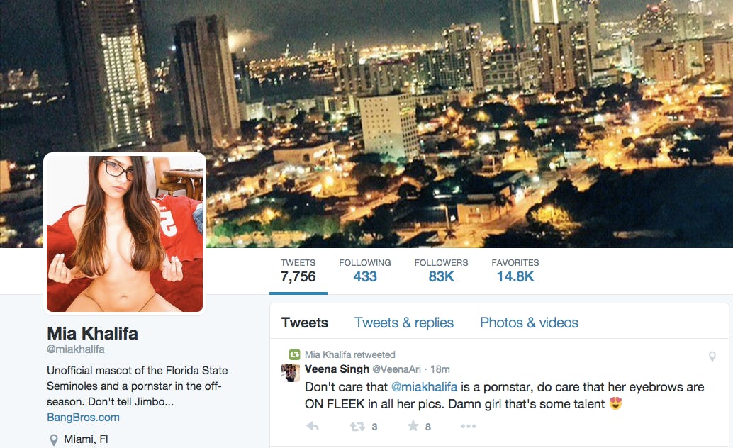 Controversial pornography essay 03 image