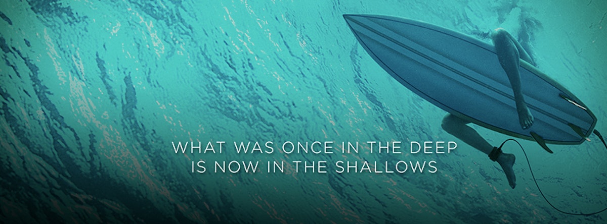 Blake Lively S The Shallows Prompts The Question Why Are We Still Scared Of Sharks
