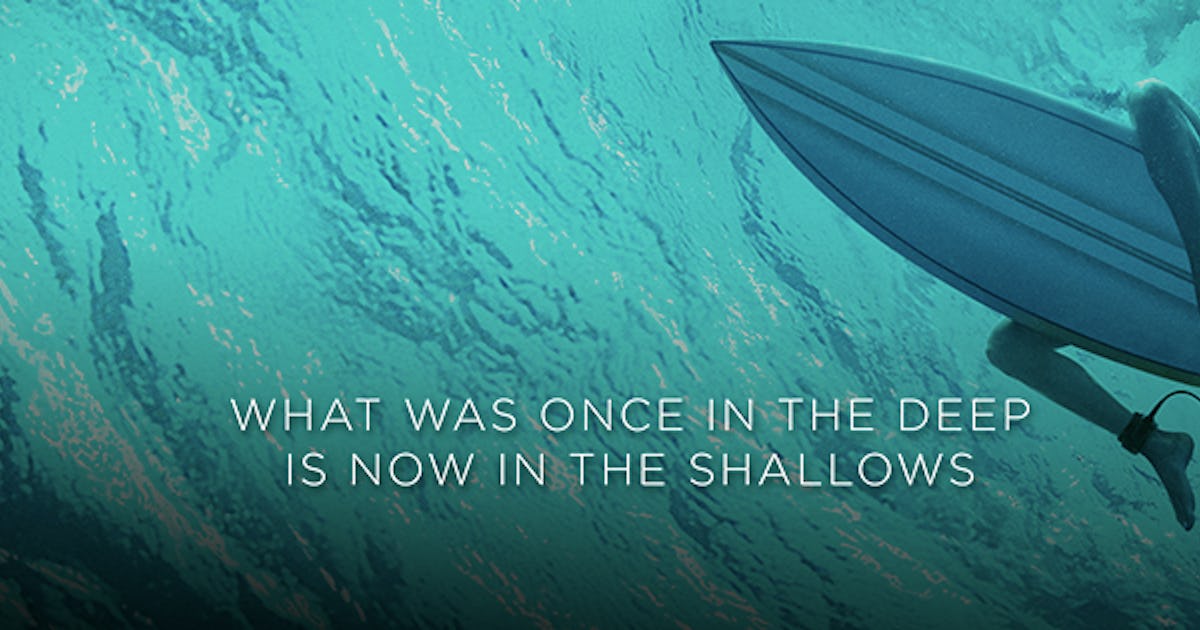 Blake Lively S The Shallows Prompts The Question Why Are We Still Scared Of Sharks Blake Lively S The Shallows Prompts The Question Why Are We Still Scared Of Sharks