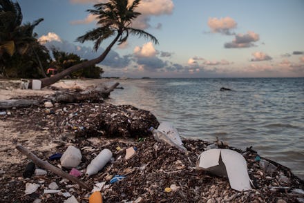 A beach in Belize with plastic forks, bags and other single-use items on it