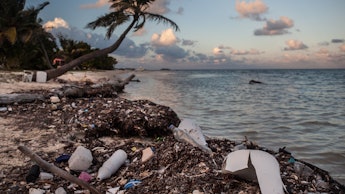 A beach in Belize with plastic forks, bags and other single-use items on it