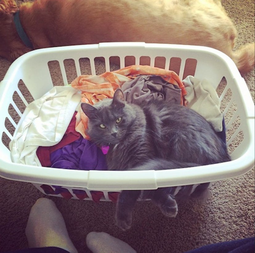 15 Times When It's Totally Appropriate to Catcall