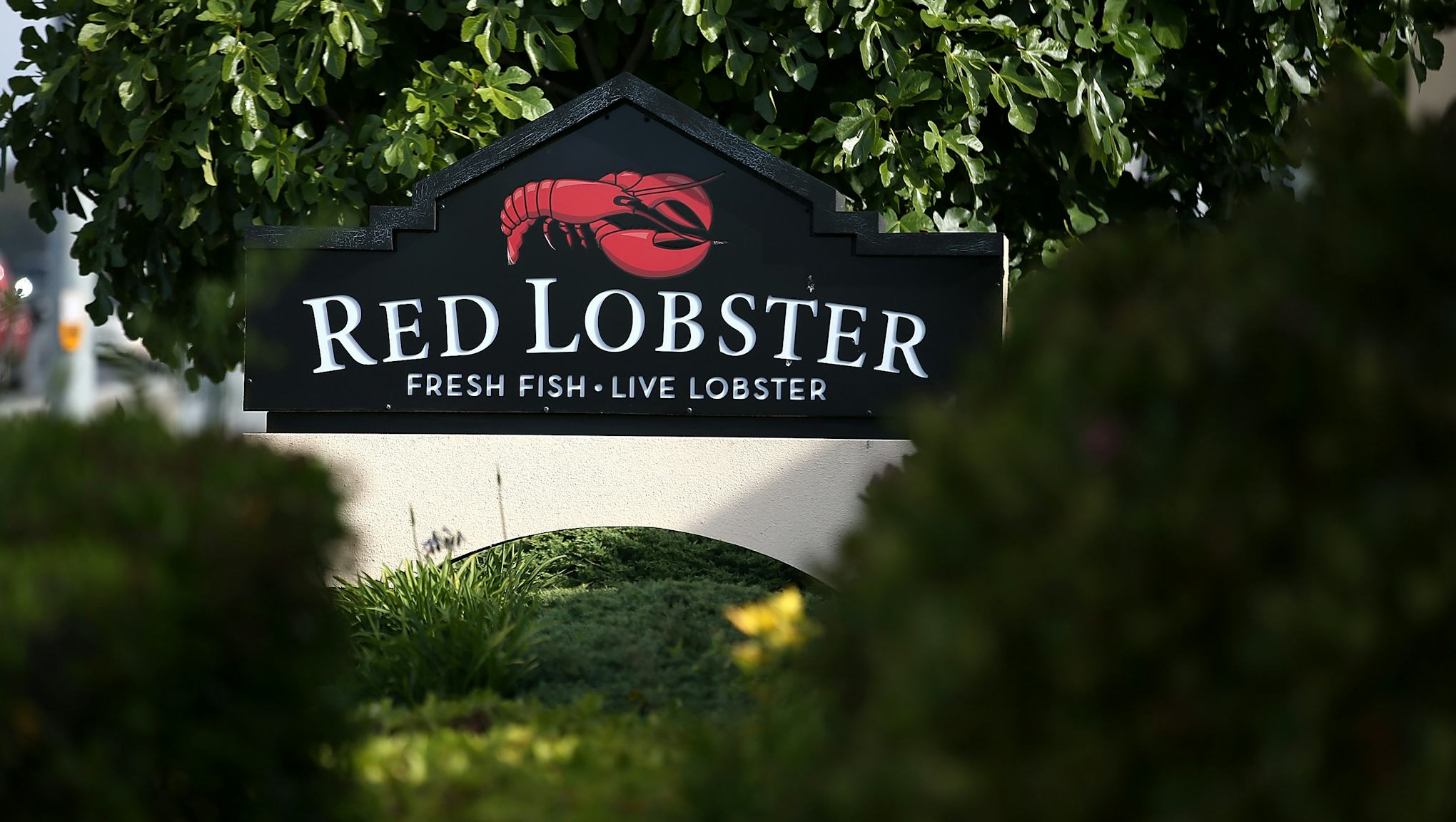 does red lobster have lobster
