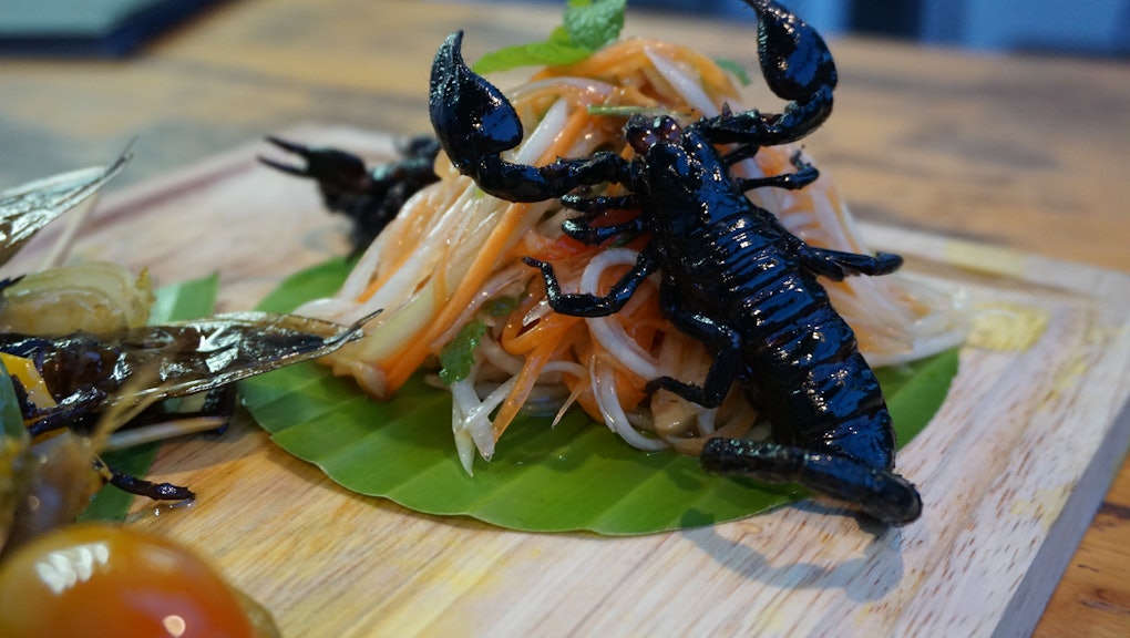 Tarantulas, fire ants and other bugs go from street food to gourmet ...