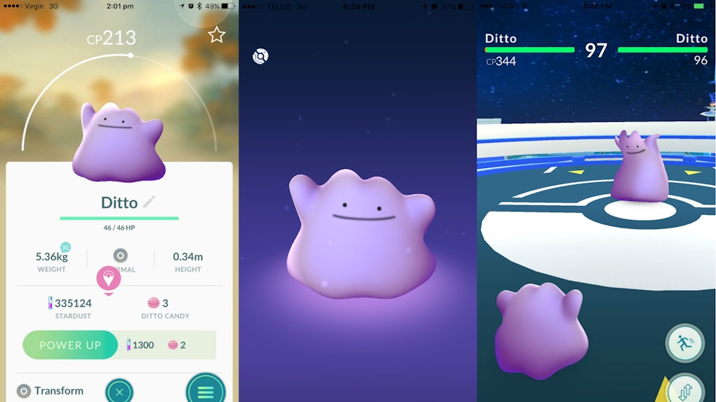 How to catch Ditto in 'Pokémon Go' The rare, transforming Pokémon is