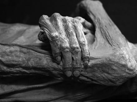 A closeup of a dried up body of a person who hasn't been cryopreserved after death