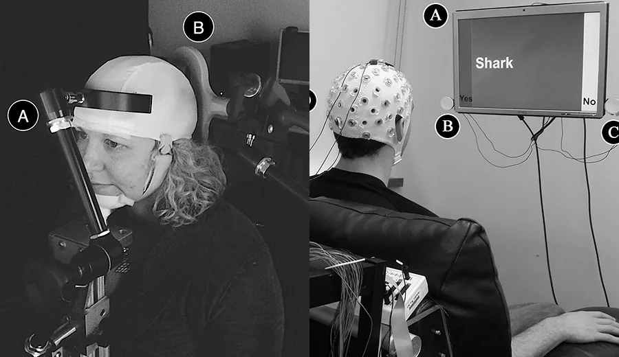 Scientists May Have Just Invented Mind Reading