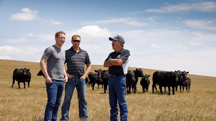Mark Zuckerberg on a ranch with black cows in South Dakota