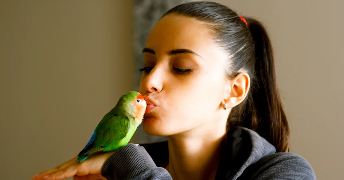 Save money on pets: These 5 affordable animals are among the cheapest you can adopt