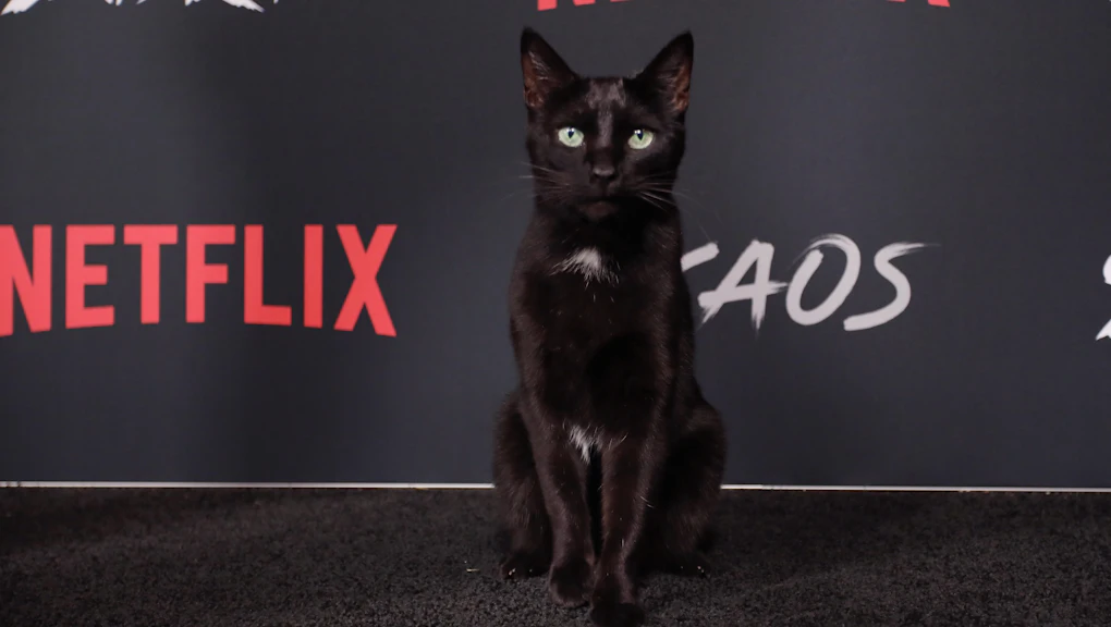 Salem Saberhagen Walked The Red Carpet At The Chilling Adventures Of Sabrina Premiere
