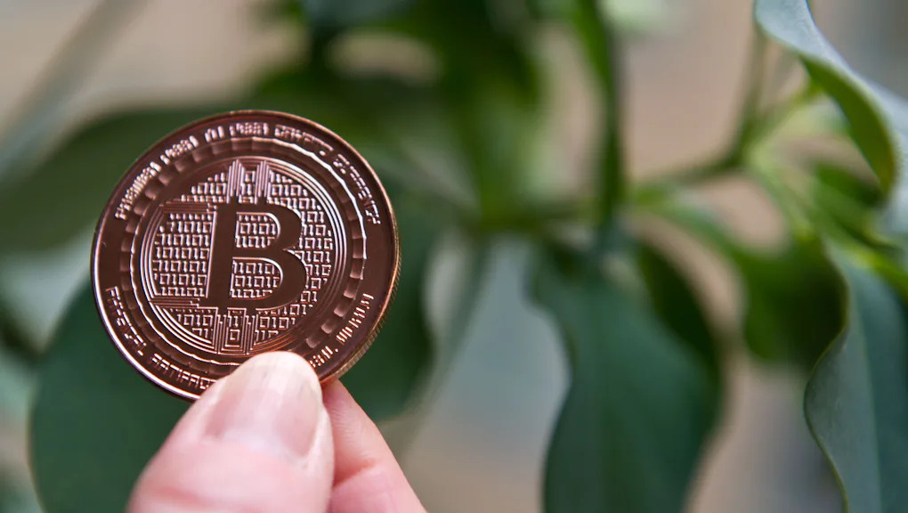 Cryptocurrencies Can Make You Rich How Does That Work in India?