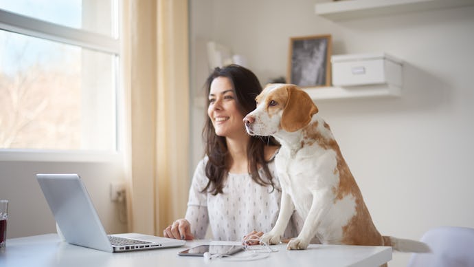 A woman working from home sits at her desk in front of her laptop with her dog standing next to her