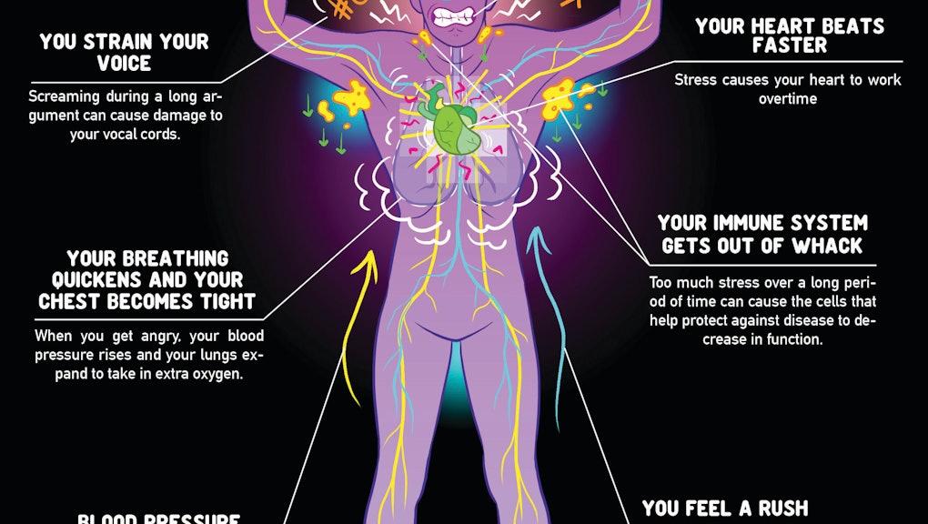 This Is What Happens To Your Body When You Re Fighting With Your body when you re fighting