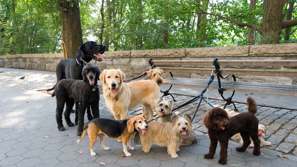 These Are The Victims Of Gentrification No One Is Talking