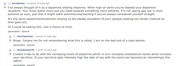 Reddit Bros Report Getting High Makes Them a Little Bit Gay