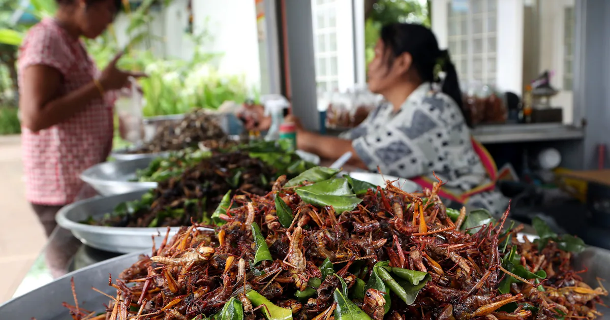 6 Edible Insects You Can Try for Lunch If You're Feeling Adventurous