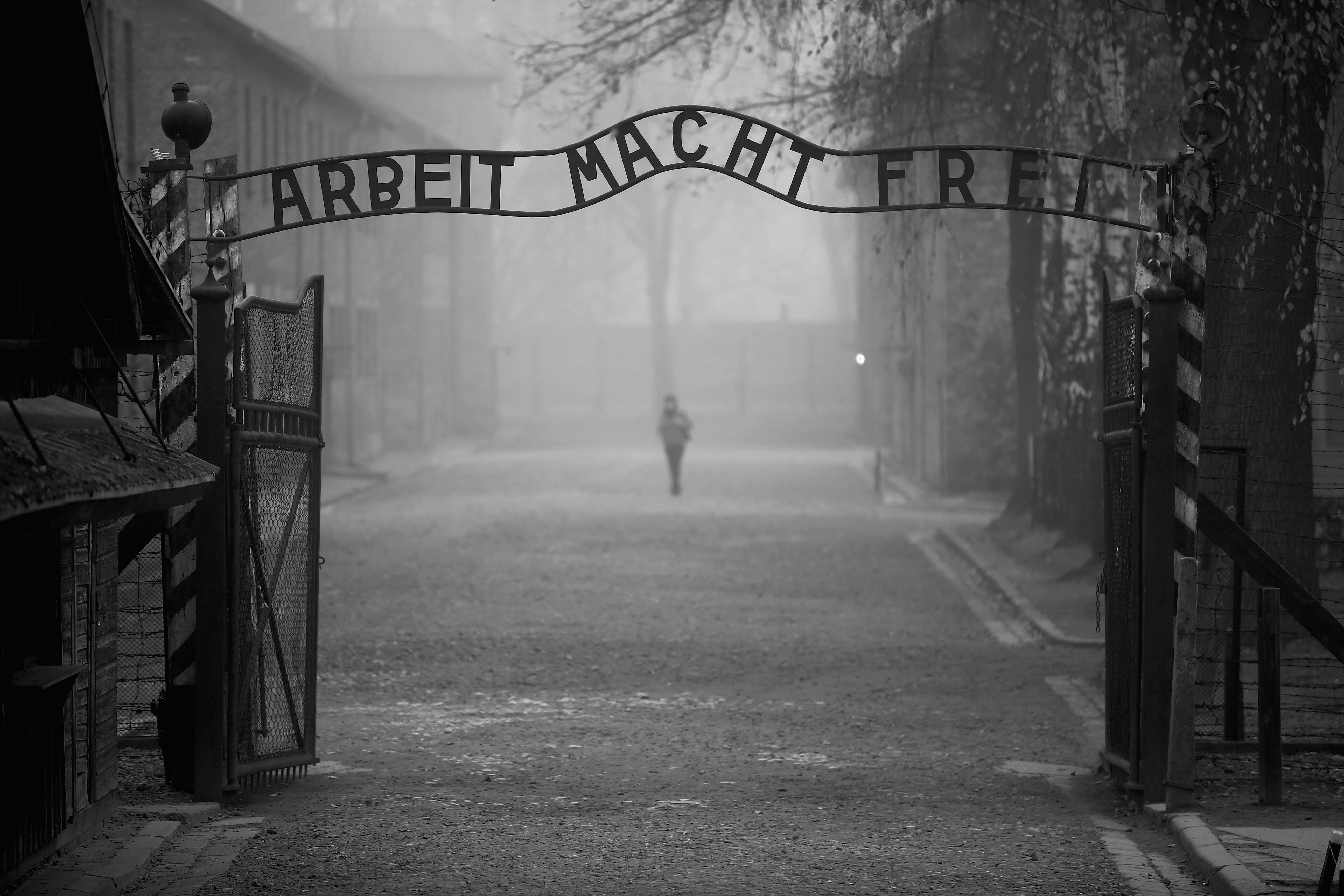 Holocaust Denial In 2017: The Continuing Effort To Erase Jewish Plight ...