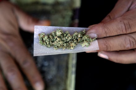 Marijuana on paper for smoking