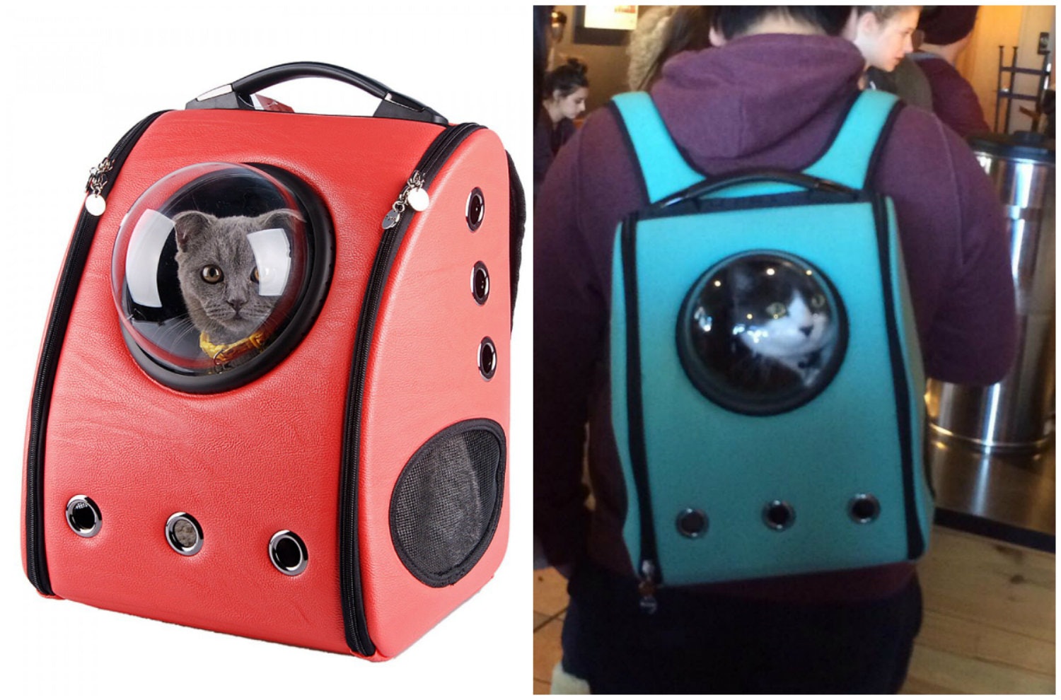 cat spaceship backpack