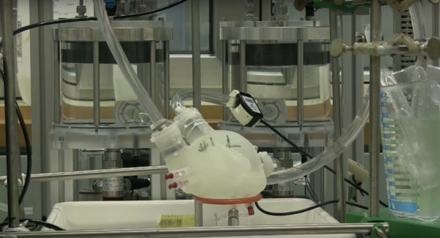 Scientists Made And Tested A New Artificial Heart, And It Could Change ...