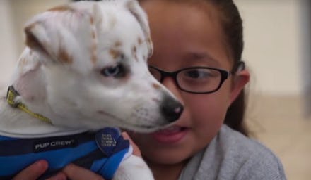 A girl who was born deaf holding her deaf puppy and teaching the dog sign language