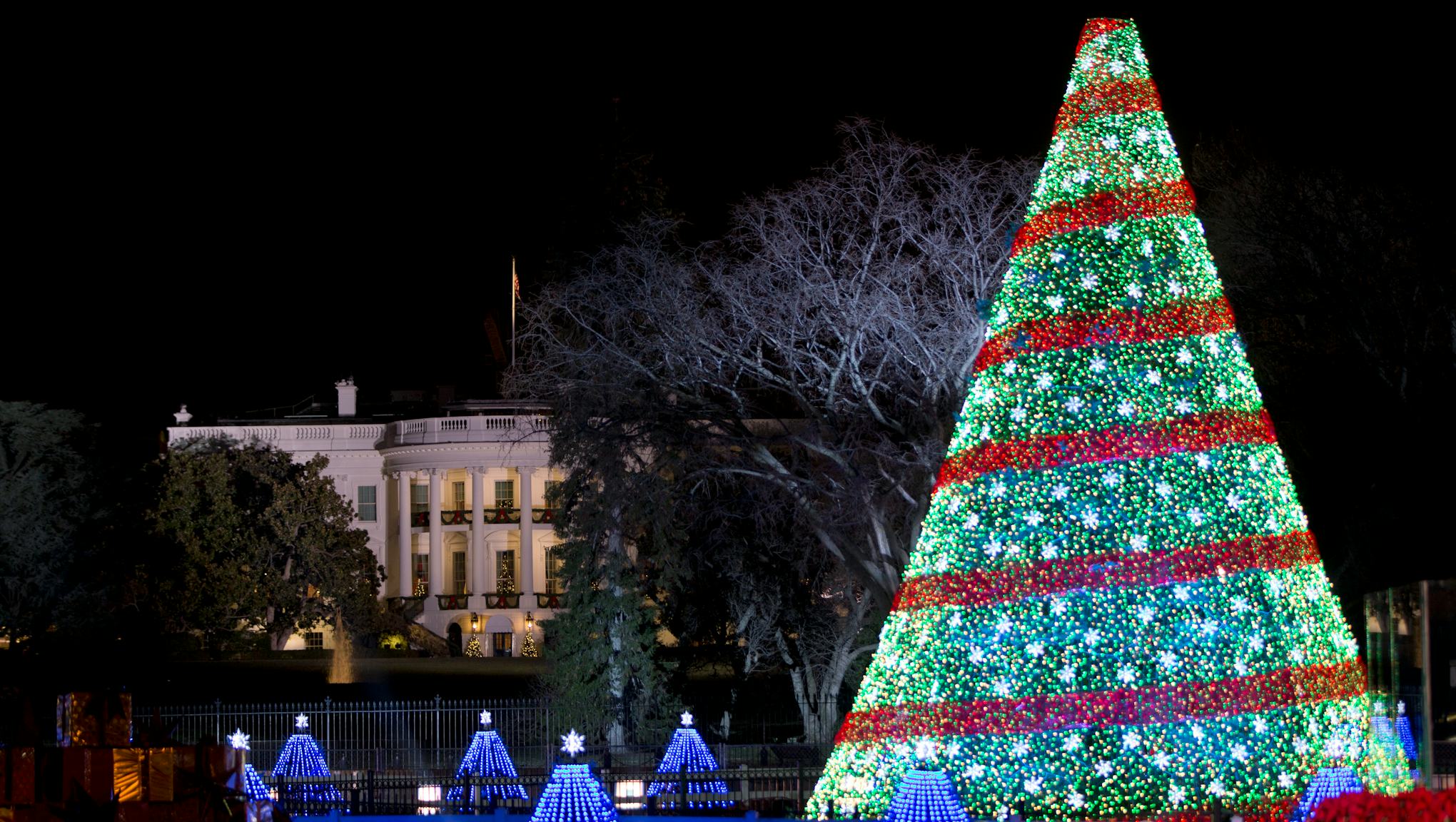White House National Christmas Tree Lighting 2015 Time, Performers and