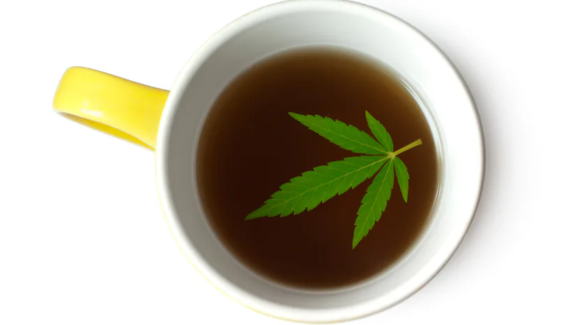 The ultimate guide to making marijuana tea: Bags, recipes, effects ...
