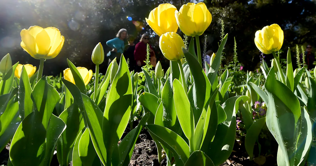 6 Myths About Spring We Should Stop Believing