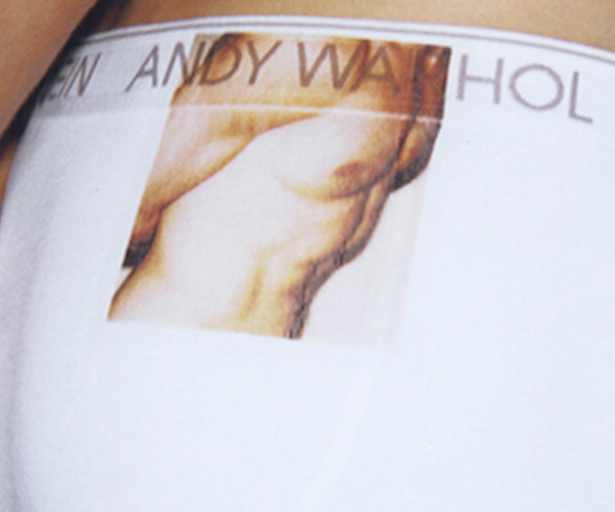 Calvin klein top andy warhol briefs