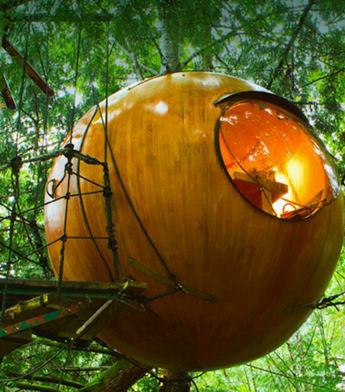 For Your Next Vacation, Stay In One Of These 10 Amazing Treehouse Resorts