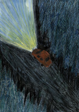 Illustration of a car driving in the middle of the night surrounded by a forest by illustrator Halli...