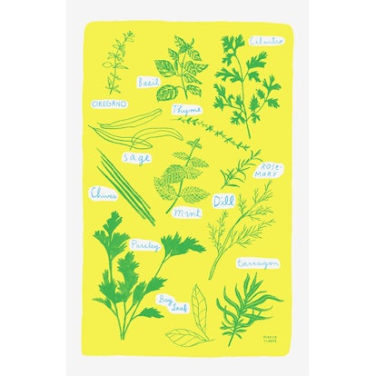 Illustration of herbs on a yellow background as a poster