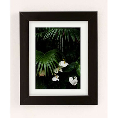 Fan Palm With Anthuriums Art Print