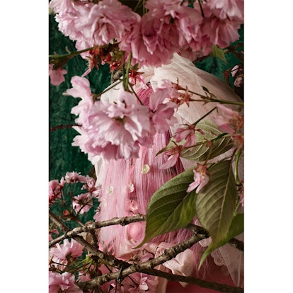 Illustration of a girl with pink hair hiding behind pink flowers