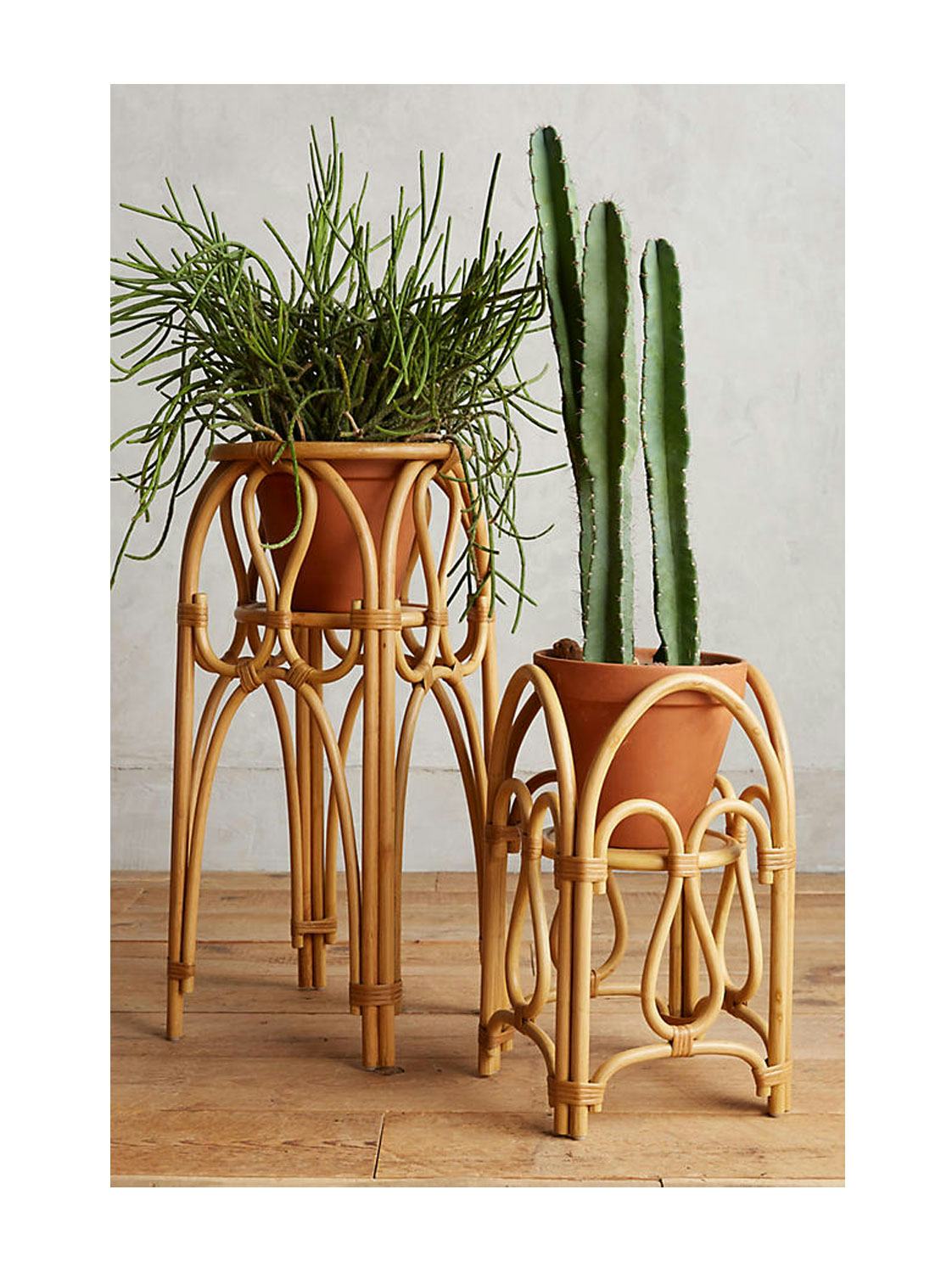 The 24 Cutest Accessories For Your Houseplants