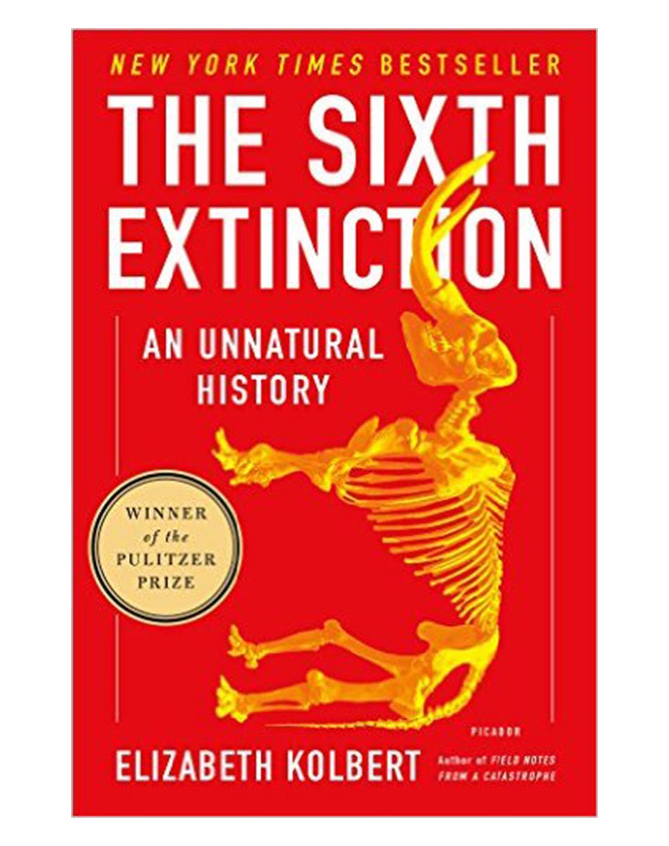 12 Books Every American Should Read Right Now