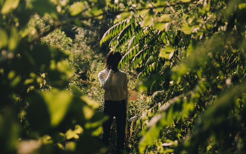 Jarrod Milton standing in a forest while wearing a white long sleeved shirt