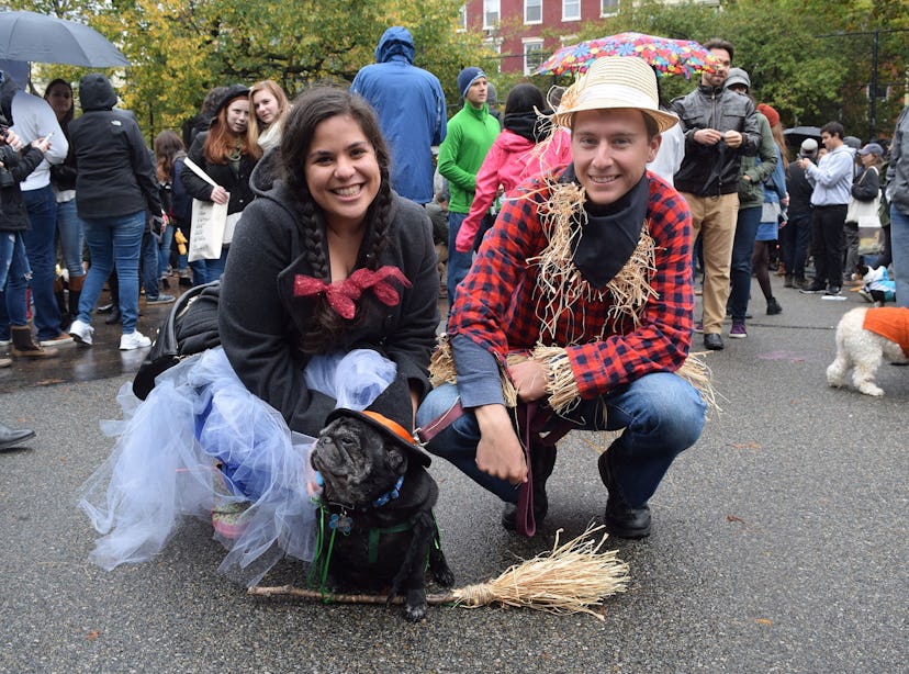 A dog dressed as The Wicked Witch of the West and its owners dressed as Dorothy and Scarecrow from T...