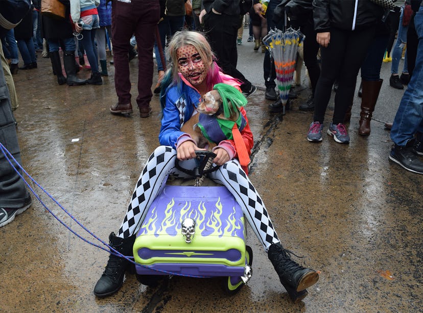 A girl dressed up as Harley Quinn holding her dog who is dressed up as the Joker at the Dog Hallowee...