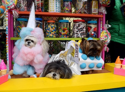 Three dogs dressed up as cotton candy and different types of candy at the Dog Halloween Parade 