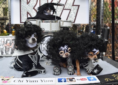 Four small dogs dressed in outfits inspired by the band KISS with small instruments on the stage