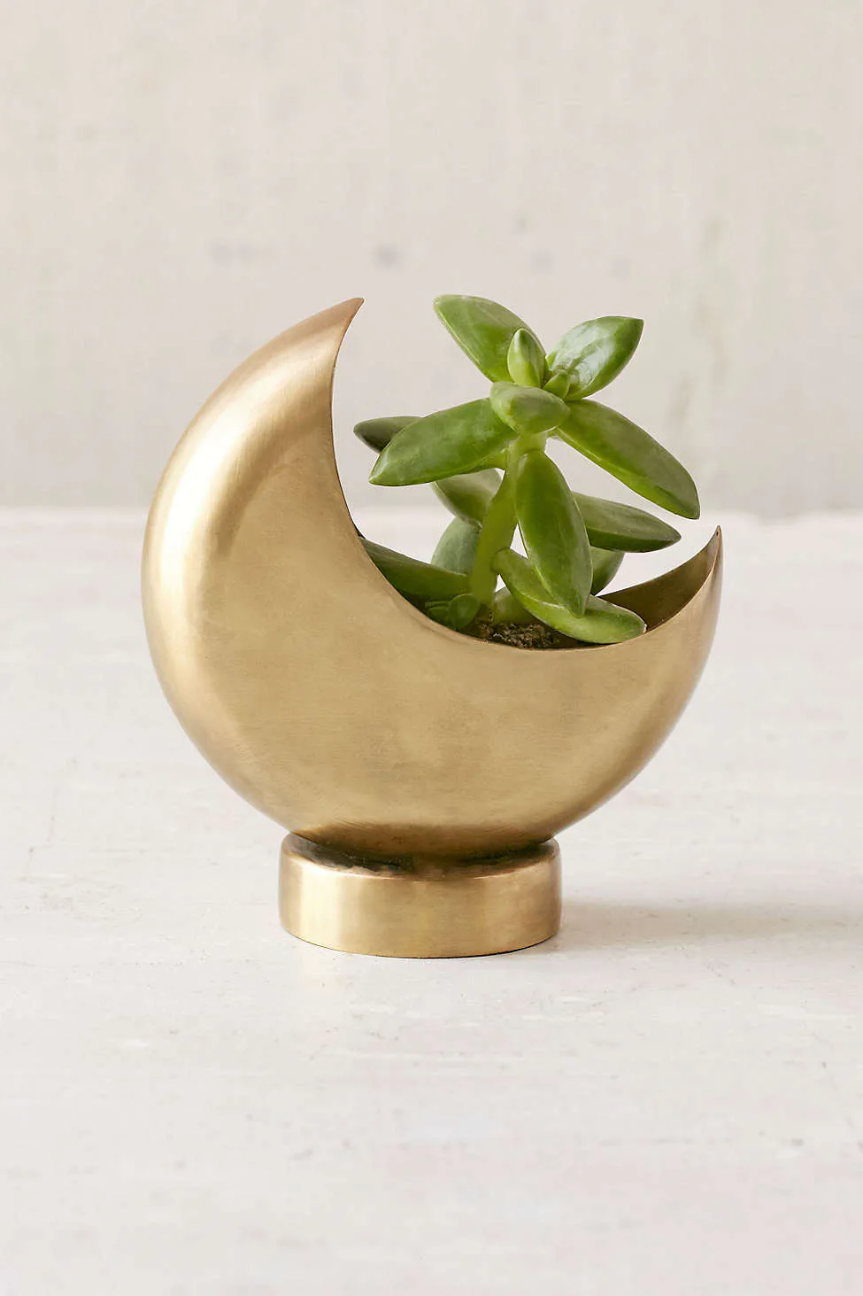 The Modern Witch S Guide To Home Decor