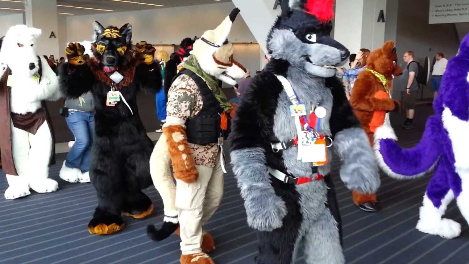 We Interviewed An Actual Furry We Interviewed An Actual Furry