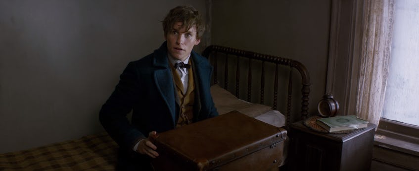 Watch The First Trailer For Fantastic Beasts And Where To Find Them