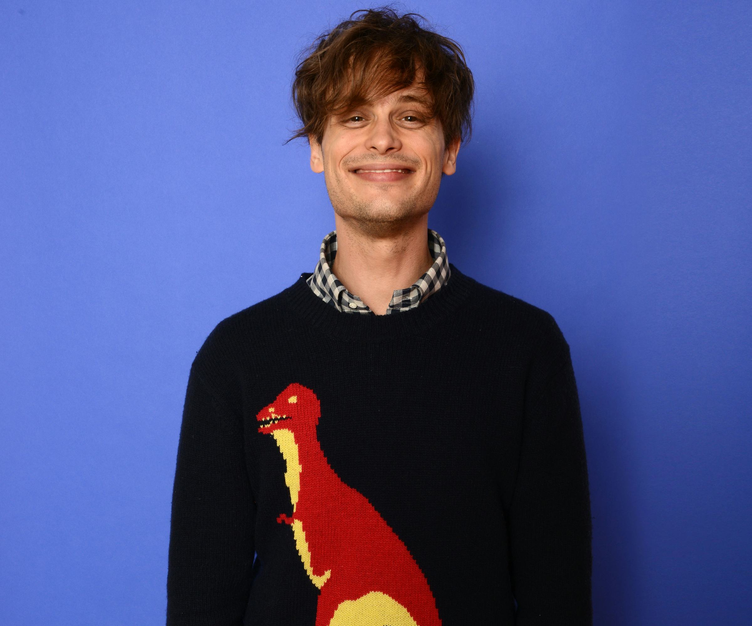 Wait, Did You Know? The Truth About Matthew Gray Gubler Wife & His Hidden World! - y0kjngl