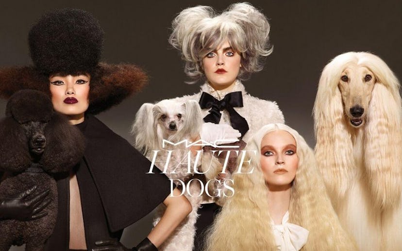 M.A.C’s new makeup collection featuring models and dogs