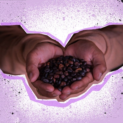 Two hands holding coffee beans on a white and lavender background