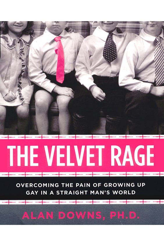 the velvet rage by alan downs