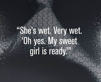 Fisting Sex Quotes - Fifty Shades Of Grey Spinoff Book Dirty Quotes - Christian Grey