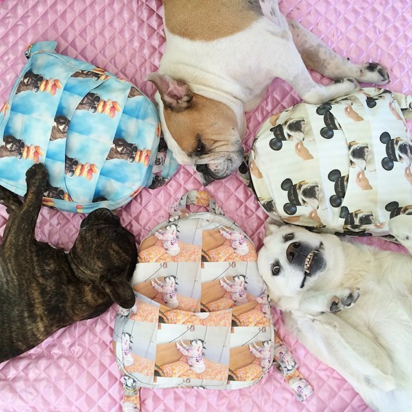 Three dogs lying in bed with backpacks featuring them next to them